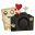 ساحل